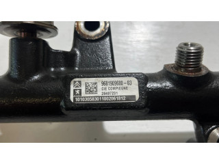 Vstřikovací lišta 9681909680, 28497Z01   Ford Mondeo MK IV  pro naftový motor 2.0  