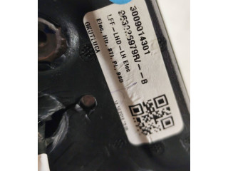 Zpětné zrcátko  Renault Megane IV 2016  963026979R, 3009014301  