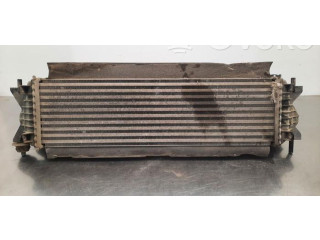 Интеркулер  144614JA0B   Nissan NP300 