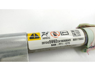 Боковая подушка безопасности 20TDG5992CK1B2606KR   Chevrolet Captiva