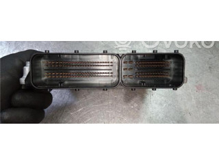 Блок управления 0281016924, DDE8510591   BMW X1 E84