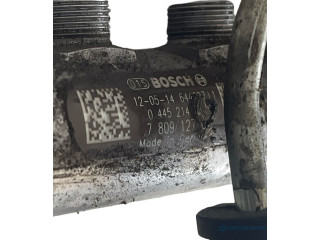 Vstřikovací lišta 0445010524, 0445110289   BMW X1 E84     