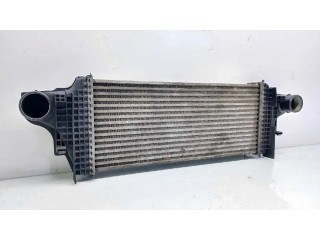 Интеркулер  A1645001900, A2515000000   Mercedes-Benz ML W164 3.0