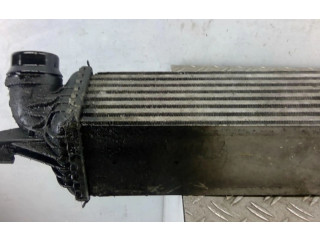 Интеркулер  144960287R   Renault Latitude (L70) 