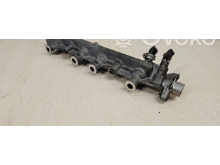 Vstřikovací lišta 0735255   Renault Megane I    F3R 