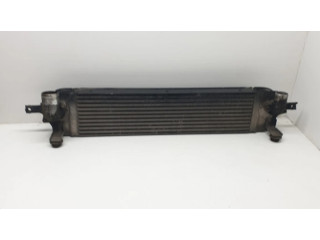 Интеркулер  P3578001   Nissan X-Trail T31 2.0