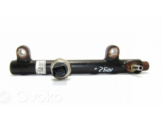 Vstřikovací lišta 967430008004   Ford Edge II  pro naftový motor 2.0 T8CM 