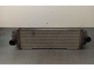 Píst 1449600Q0A   Nissan Primastar    F9QU762 