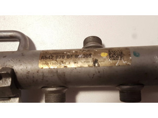 Vstřikovací lišta A6420700495, A6110780449   Mercedes-Benz R W251  pro benzínový motor 5.0 113971 