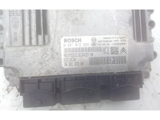 Řídící jednotka 8HZ   Citroen C3 Pluriel 2006