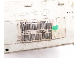 Дисплей    9650243077C00, 9650243077C00   Peugeot 307