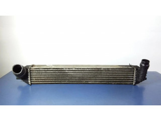 Интеркулер  144610001N   Renault Laguna III 