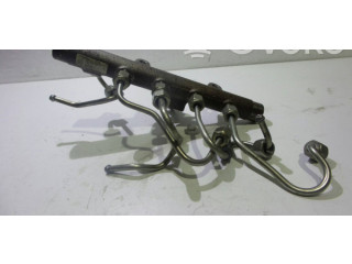 Vstřikovací lišta 8200704212   Renault Megane III     