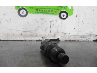 Vstřikovač 9430030212, 9430030212   Tata Safari    D/483DLTC55 