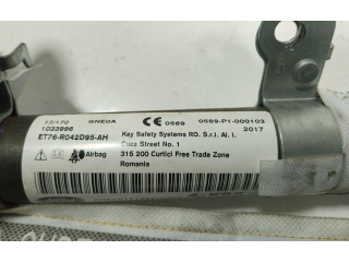 Подушка безопасности двери 2071600, 1033996   Ford Tourneo