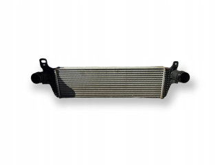 Интеркулер  7E0145804AB, 8E0145804AB   Volkswagen Transporter - Caravelle T5 