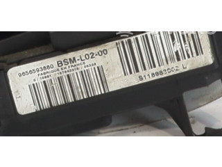 Pojistková skříňka Řídící jednotka BSM 9656593880   Peugeot 407 2006
