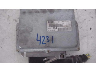Řídící jednotka 0261204049, 9624936080   Citroen ZX 1993
