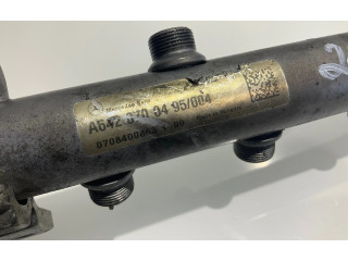 Vstřikovací lišta A6420700495, 0708400863   Mercedes-Benz CLS C219    642.920 