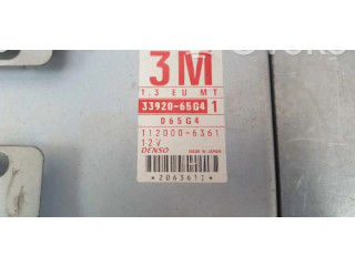 Řídící jednotka 3392065G41, 3392065G41   Suzuki Baleno EG 