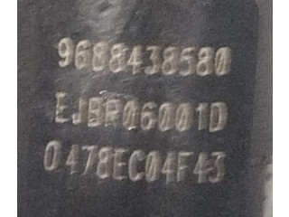 Vstřikovač 9688438580, 9688438580   Peugeot 407     