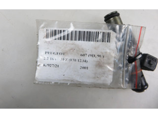 Vstřikovač 01F004A, 01F004A   Peugeot 607    3FZ (EW12J4) 