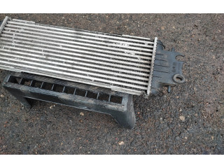 Píst 7700312903, 91166035   Nissan Primastar     