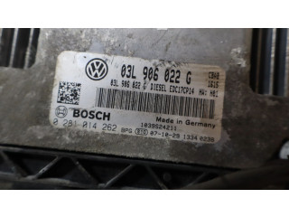 Блок управления двигателем Блок управления 0281014262   Volkswagen Tiguan