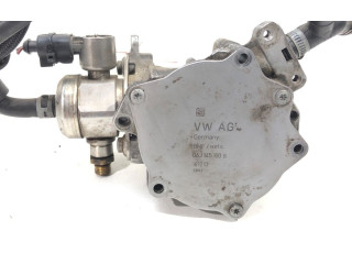 Vstřikovací čerpadlo 06H127025N   Seat Exeo (3R)     