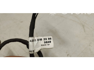 Vstřikovací čerpadlo A2318103900   Mercedes-Benz SL R231     