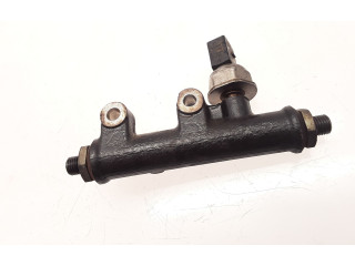 Vstřikovač 4R8Q9C066AE, 4R8Q9C066   Citroen C6    UHZ 