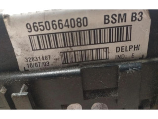 Zpětné zrcátko  Peugeot 406   9650664080  