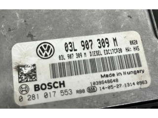 Řídící jednotka 03L907309M   Volkswagen Multivan T5 2009