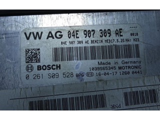 Блок управления двигателем Блок управления 04E907309AE   Volkswagen Scirocco