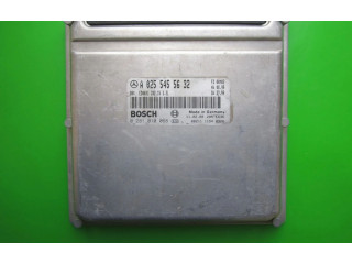 Řídící jednotka A0255455632, 0281010068   Mercedes-Benz E W210 2000