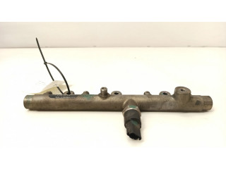 Vstřikovací lišta 0445214019, 010831   Peugeot 307  pro naftový motor 2.0  