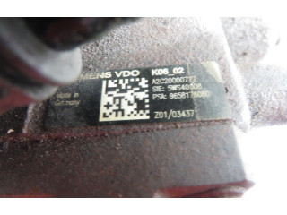 Vstřikovací čerpadlo 9658176080, 5WS40008   Peugeot 107    8HT (DV4TD) 