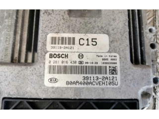 Řídící jednotka 391132A121   KIA Soul 2008