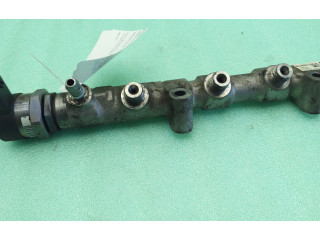 Топливная рампа R03P125   Seat Ibiza IV (6J,6P)  
