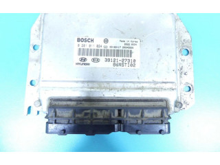 Řídící jednotka 0281011024, IMPRK1345738   Hyundai Trajet 2001