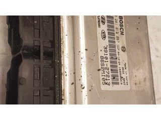 Řídící jednotka 0281012087, 3910127213   Hyundai Santa Fe 2007