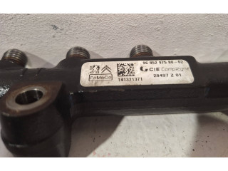 Vstřikovací lišta 9685297580   Peugeot Partner     