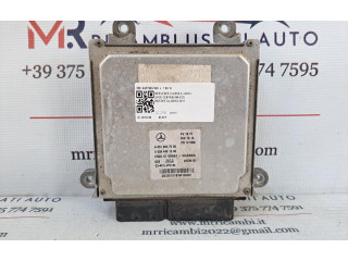 Řídící jednotka A6519007500, A6519007500   Mercedes-Benz E W212 2009