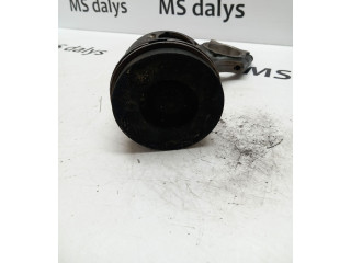 Píst A6110300320, A6130300117   Mercedes-Benz S W220     