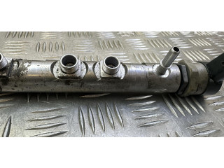 Vstřikovací lišta 780912702, 0445214182   BMW X1 E84    N47D20A 