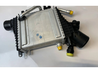 Интеркулер  A2640905300, 2640905300   Mercedes-Benz G W463 