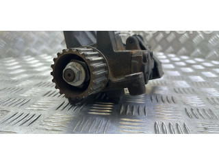 Vstřikovací čerpadlo 167003669R, 5WS40844   Renault Megane IV    K9K656 