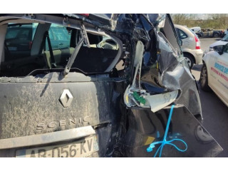 Zpětné zrcátko  Renault Scenic III -  Grand scenic III 2009  963024894R  
