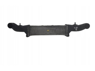 Интеркулер  A2025001100   Mercedes-Benz C W202 