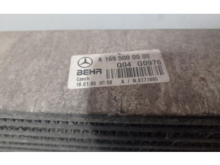 Jednotka ABS    Mercedes-Benz  W169 